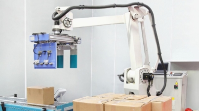 Roboty do paletyzacji – klucz do nowoczesnej automatyzacji produkcji