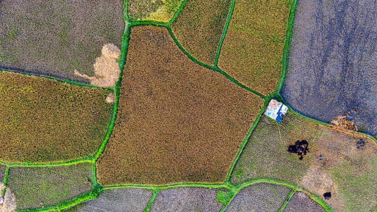 Jak przygotować teren pod inwestycję – rola dronów i danych przed-budowlanych