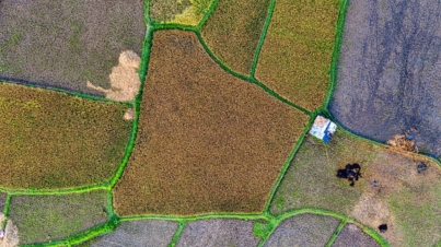 Jak przygotować teren pod inwestycję – rola dronów i danych przed-budowlanych